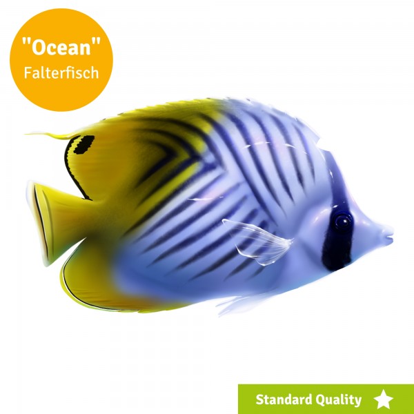 OCEAN Poolsticker, Poolaufkleber, Unterwassersticker Ocean Motiv Falterfisch